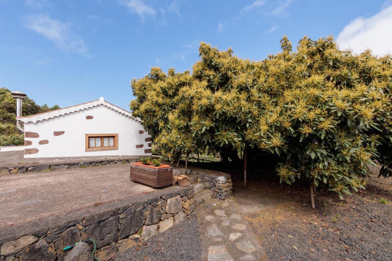 Vakantiehuis Facundo B Barlovento